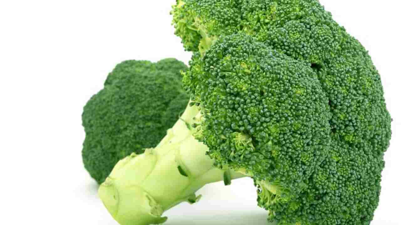 broccoli famiglia