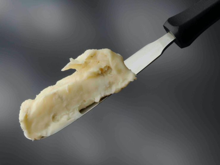 formaggio spalmabile zucchine