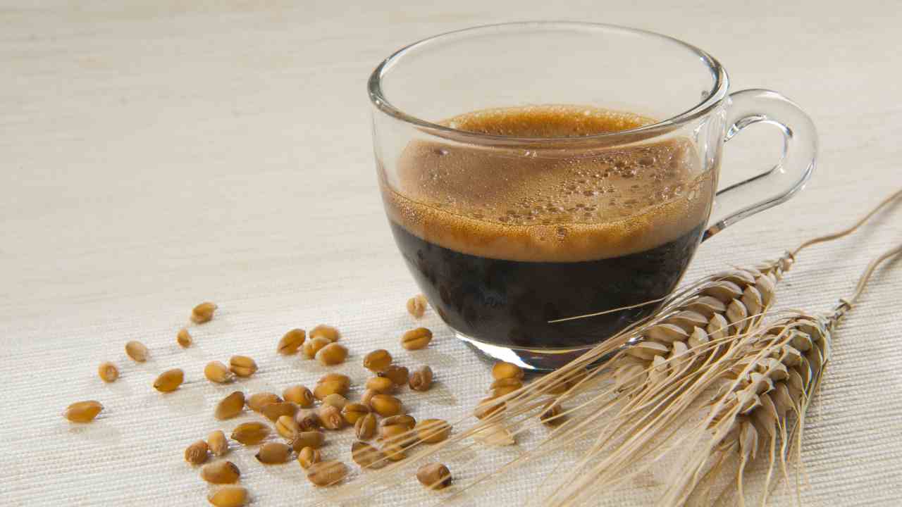 caffè orzo