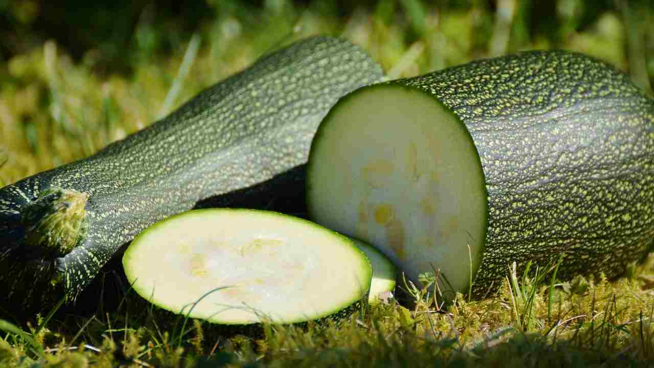 Zucchine più croccanti