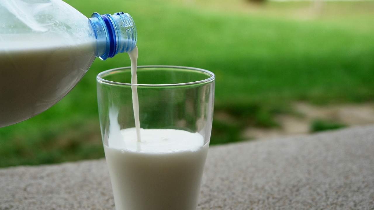 Come capire se intolleranti lattosio