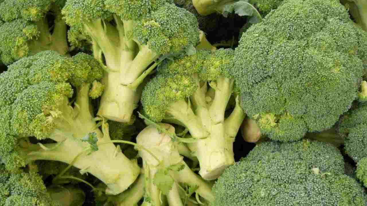 broccoli contorno