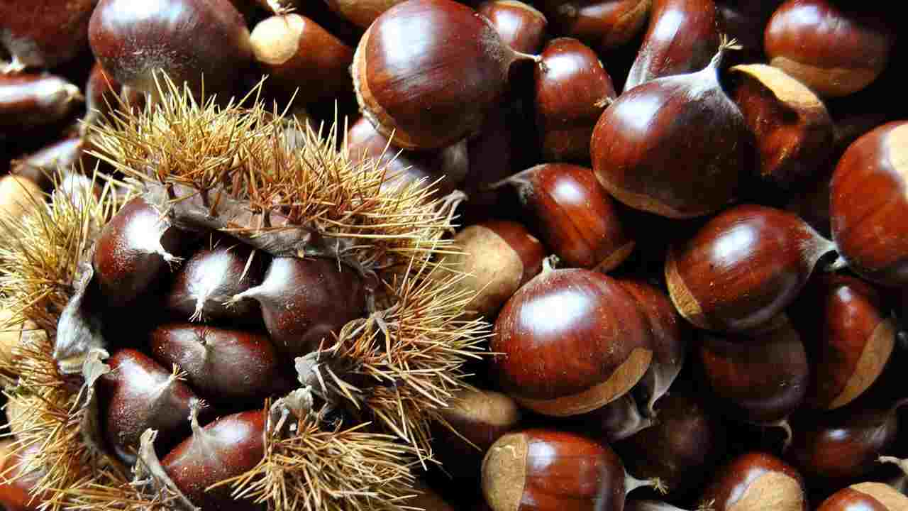 Avanzate le castagne