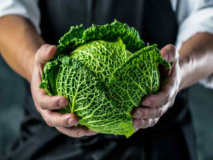 Insalata ingredienti autunnali