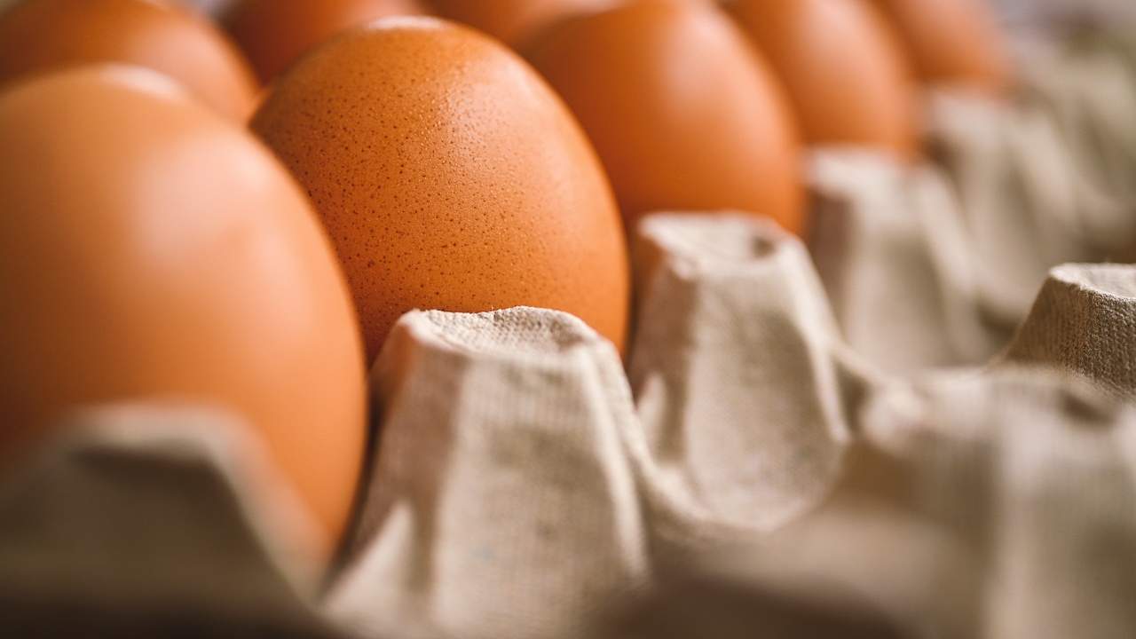 Cosa fai quando cucini uova sode