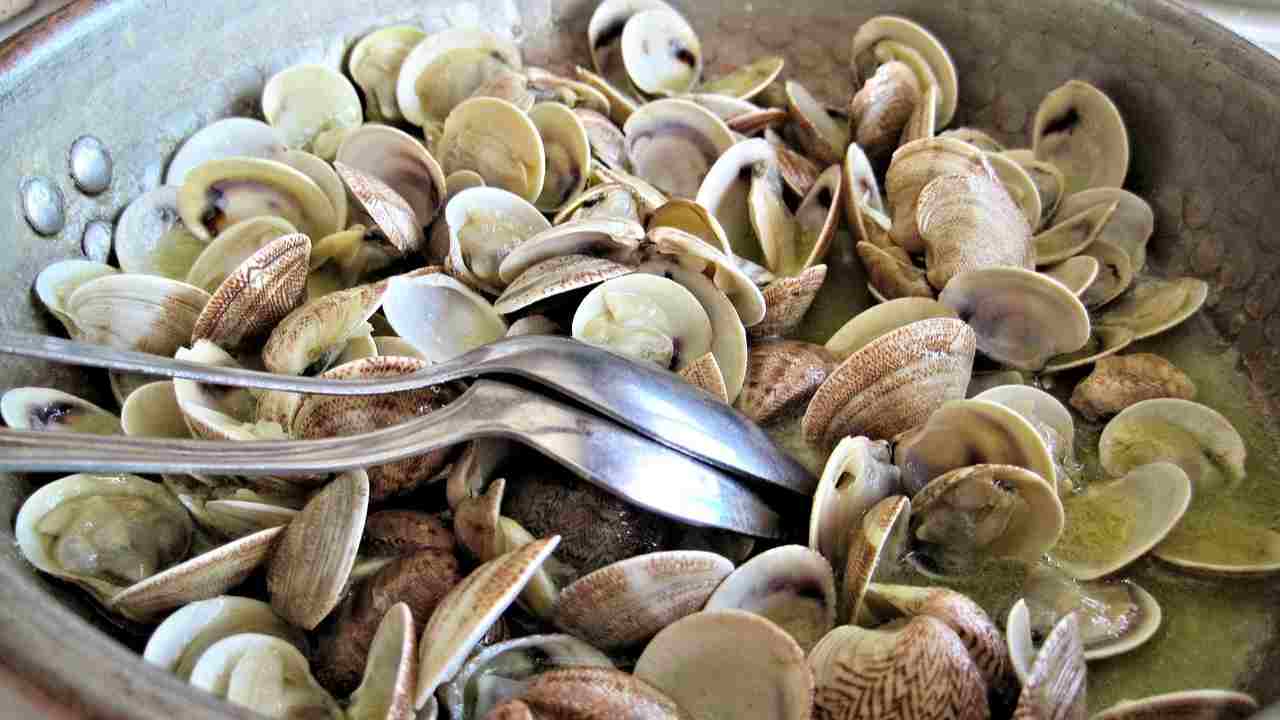 Si possono congelare vongole