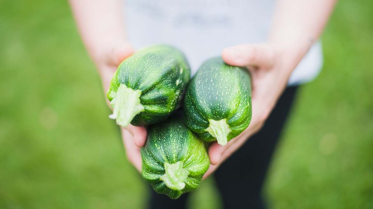 Con zucchine non fai solo pasta