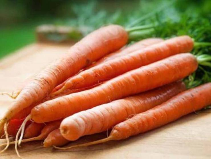 carote crostata