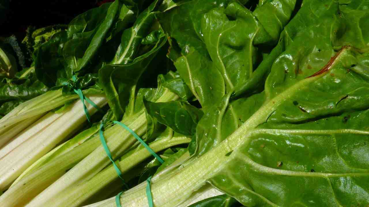 Cime di rapa