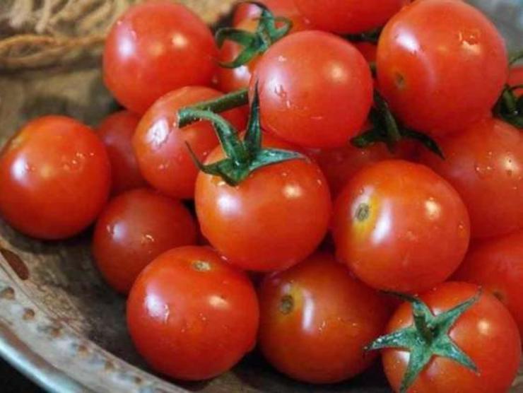 pomodoro pasta