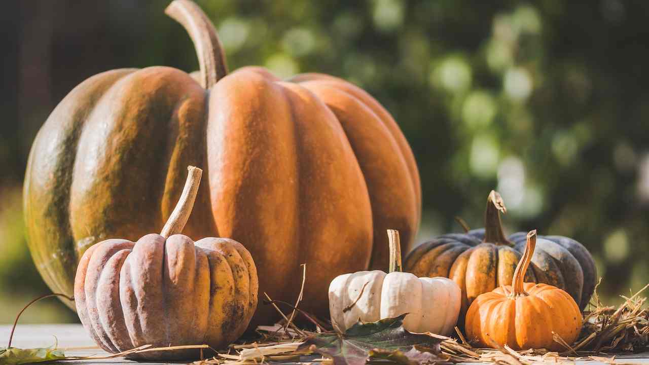 Cucinato la zucca