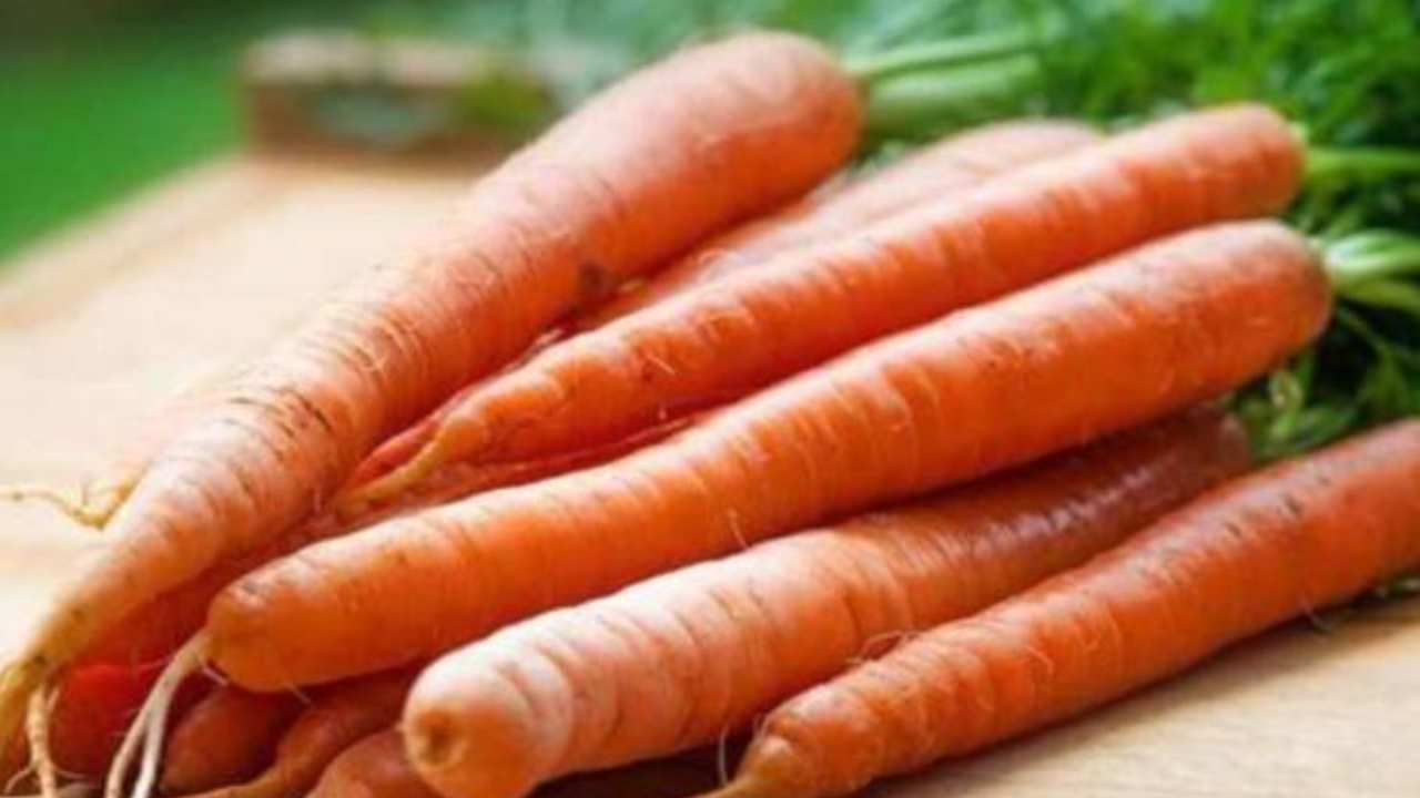 carote frigo