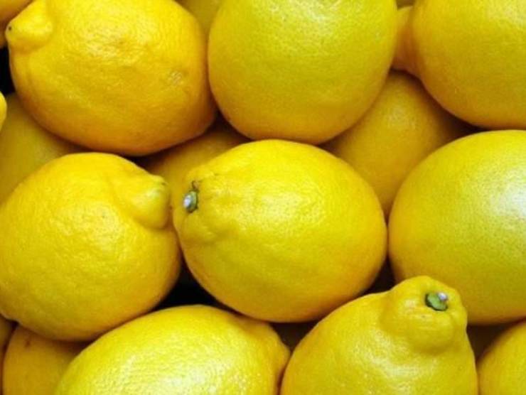 limoni scaloppine