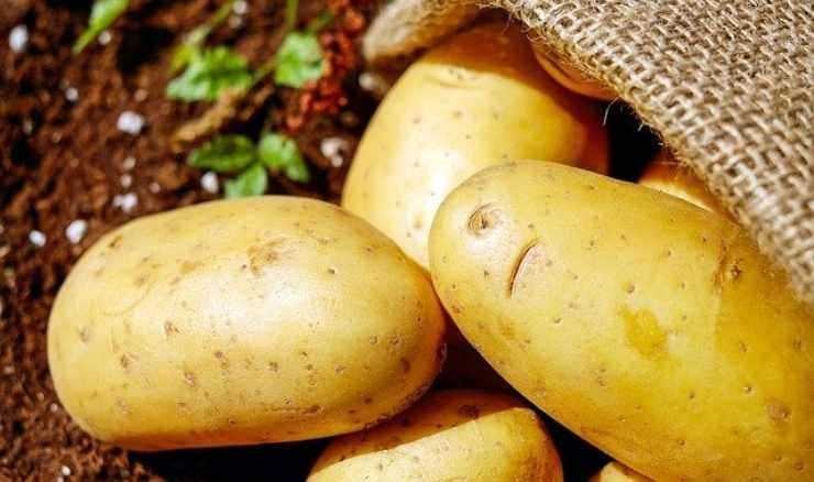 sbriciolata patate ingredienti