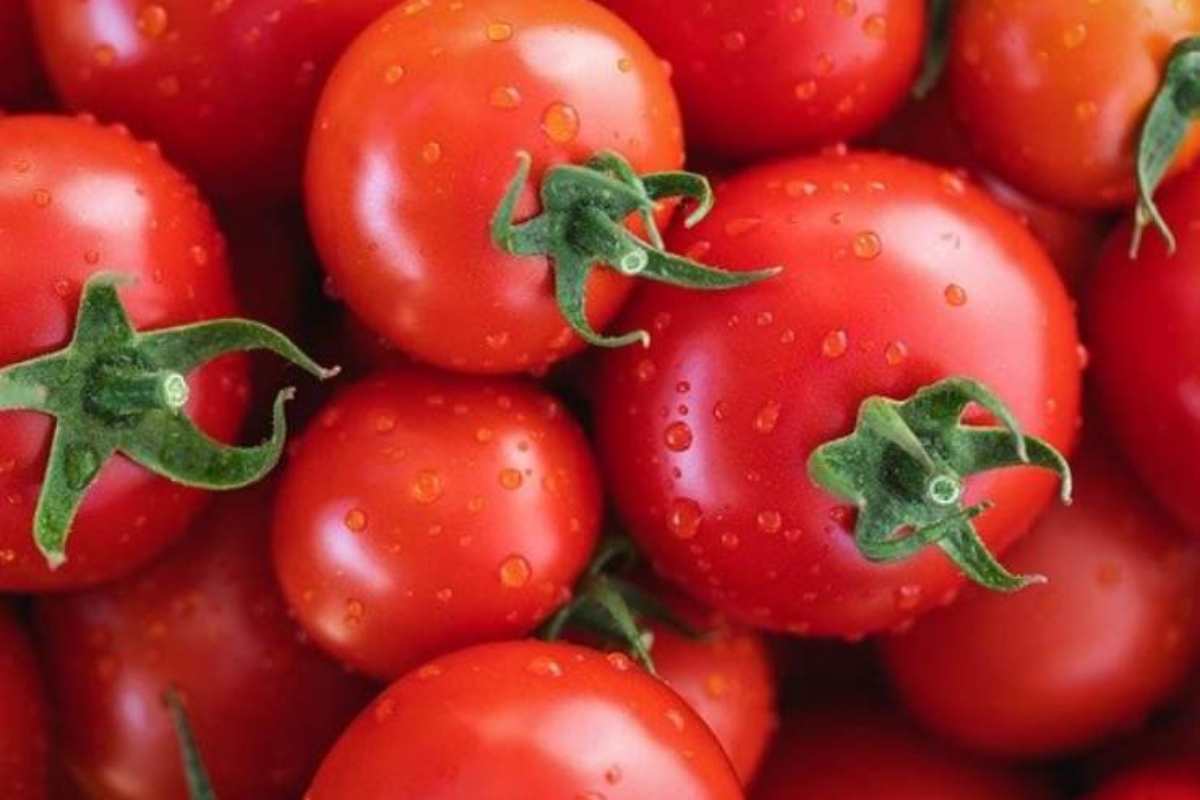 pomodori ricetta ligure