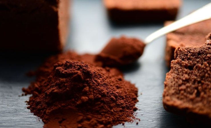 cacao cioccolato pan di spagna