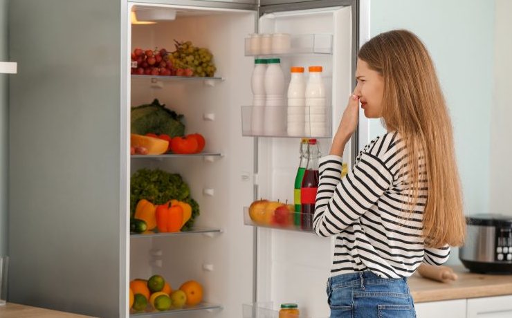 cattivo odore frigorifero soluzione