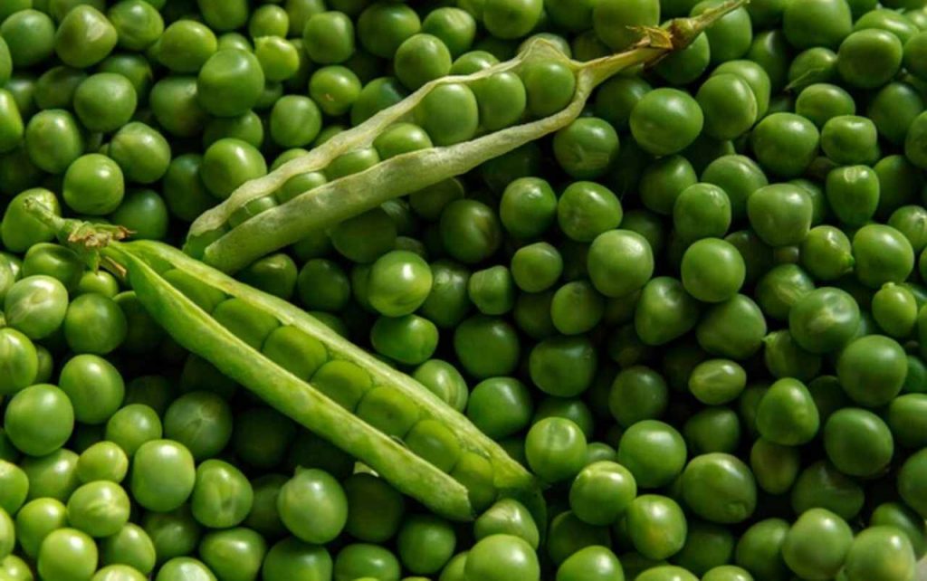 Piselli