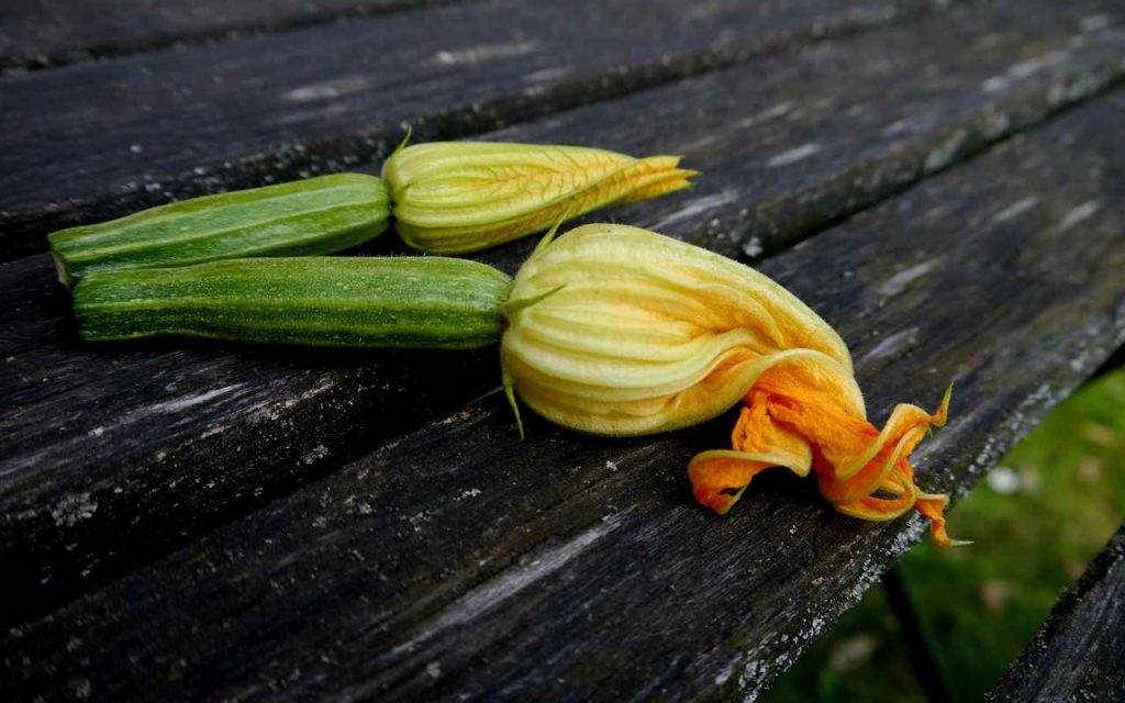 Fiori di zucca fritti