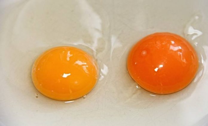 Frittata di maccheroni napoletana: sapore unico e inimitabile