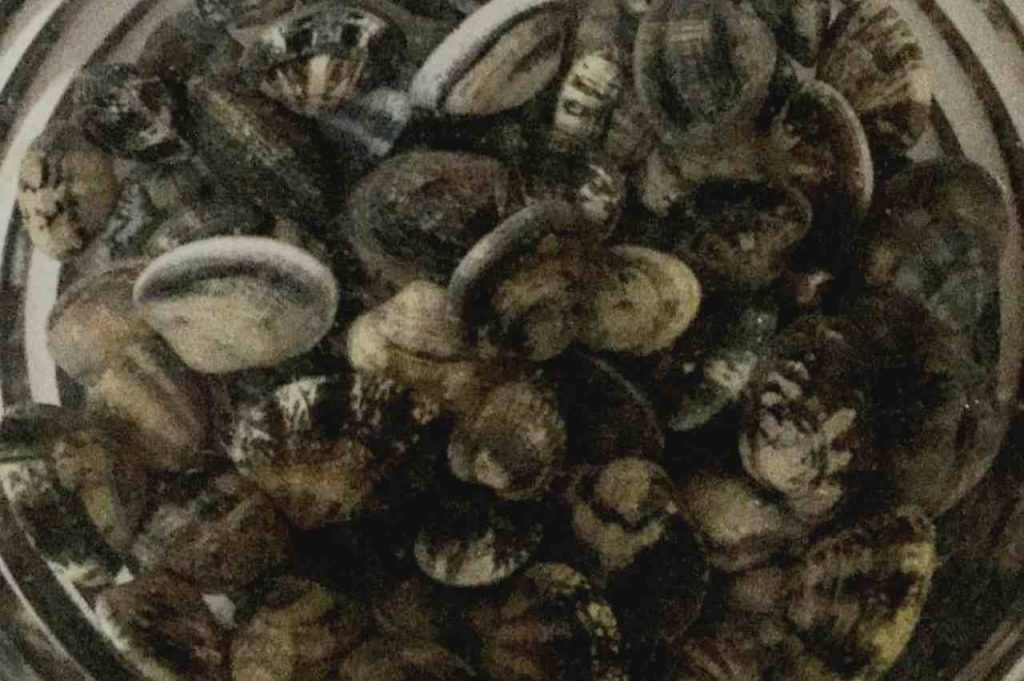 come pulire le vongole