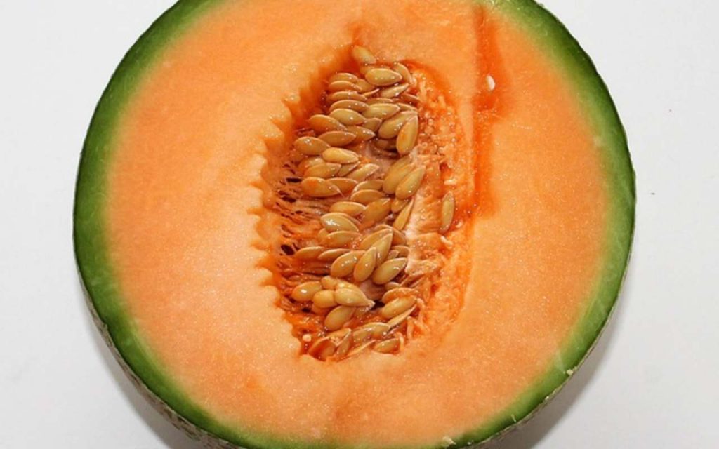 Melone semifreddo