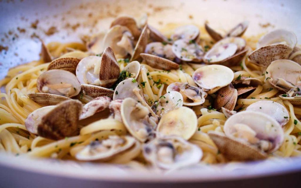 Pasta vongole ingrediente