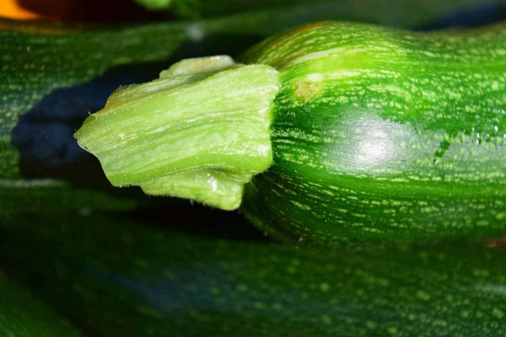 focaccia di zucchine