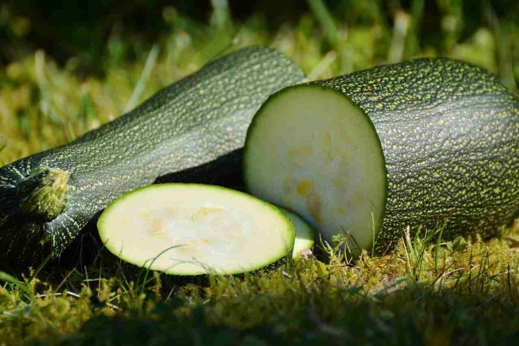 ricetta leggera ma gustosa