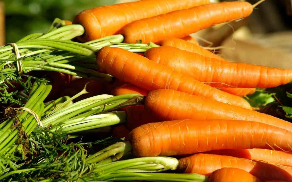 conservare le carote