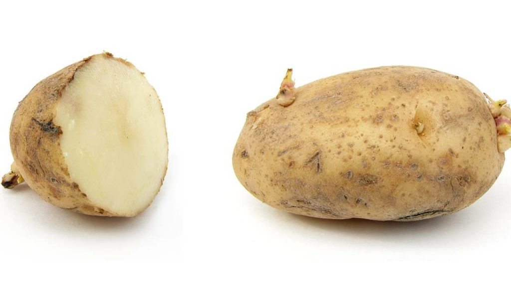 Taglia patata a metà