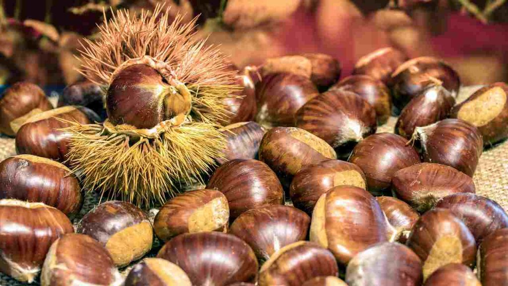 castagne 5 minuti