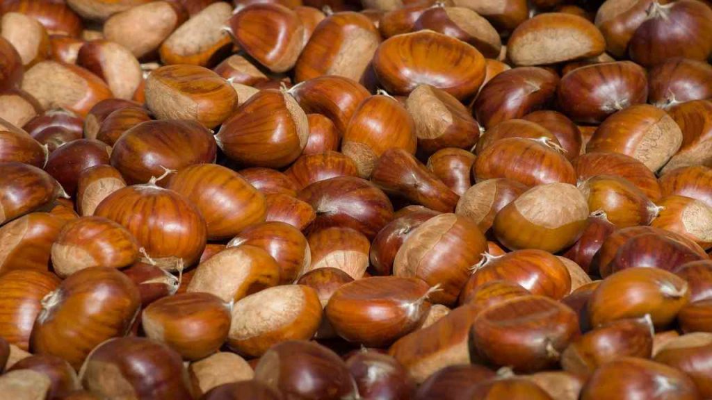 castagne matte