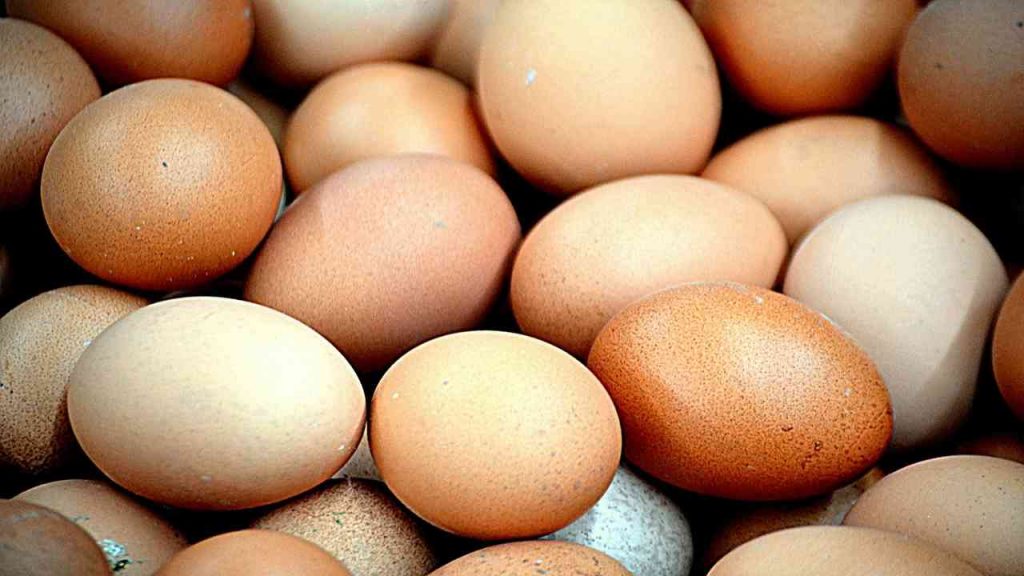 cena uova