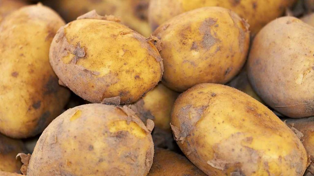 Come si conservano patate