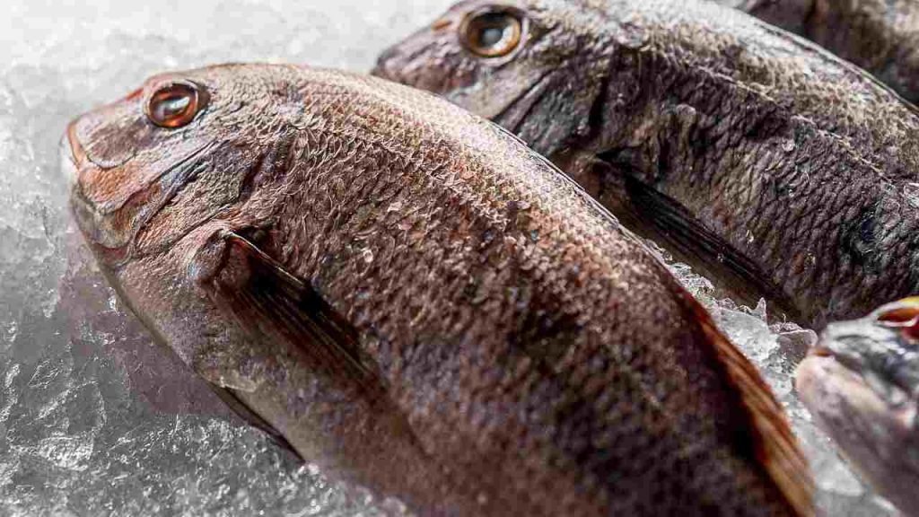 scongelare il pesce