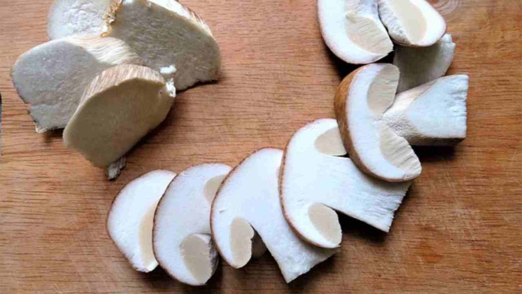 funghi
