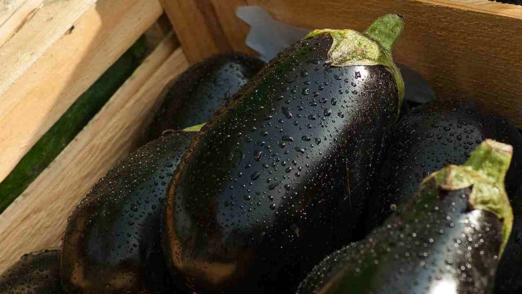 Cosa cucinare con le melanzane