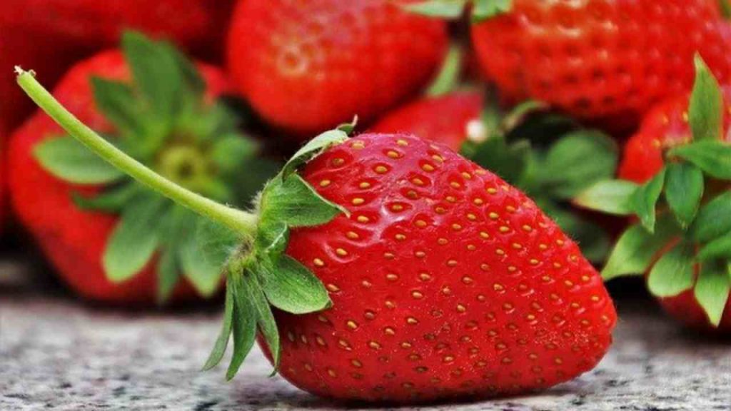 fragole