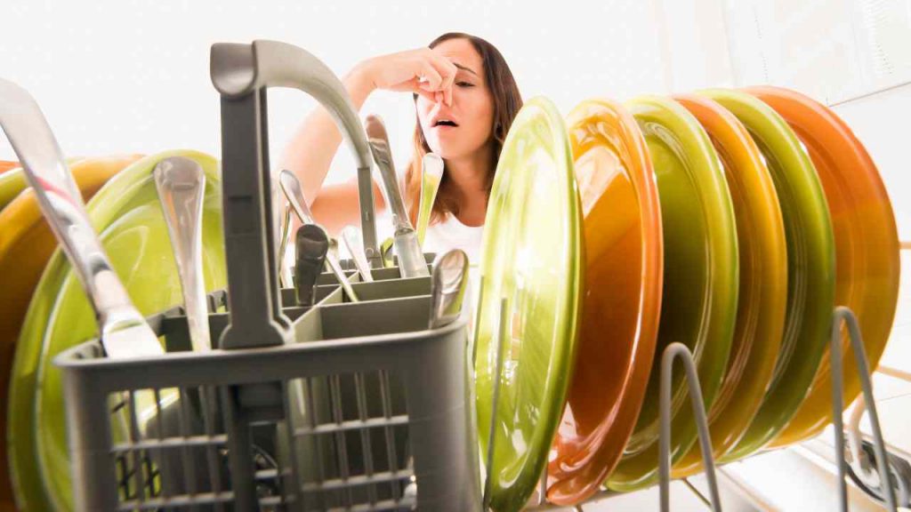 Un metodo semplicissimo che ti permetterà di dire finalmente addio ai cattivi odori provenienti dalla lavastoviglie: ti basta fare così!