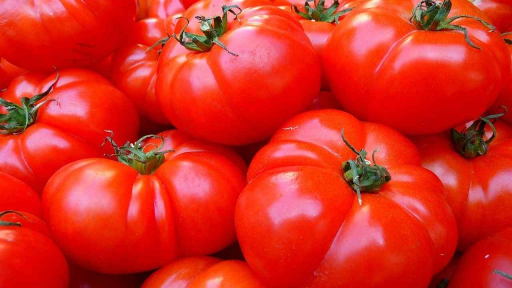 pomodori ripieni farcitura