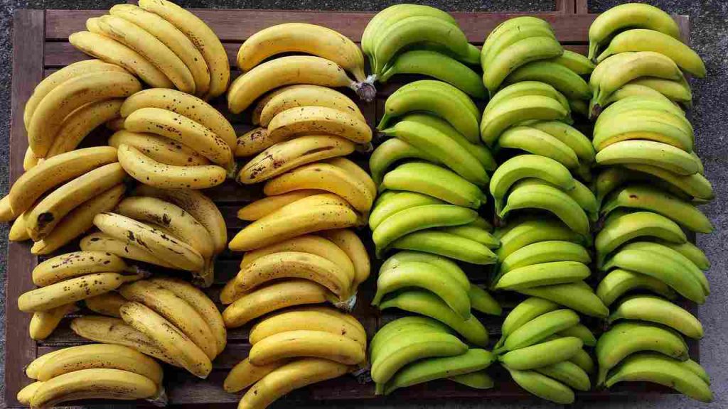 Frutta acerba matura