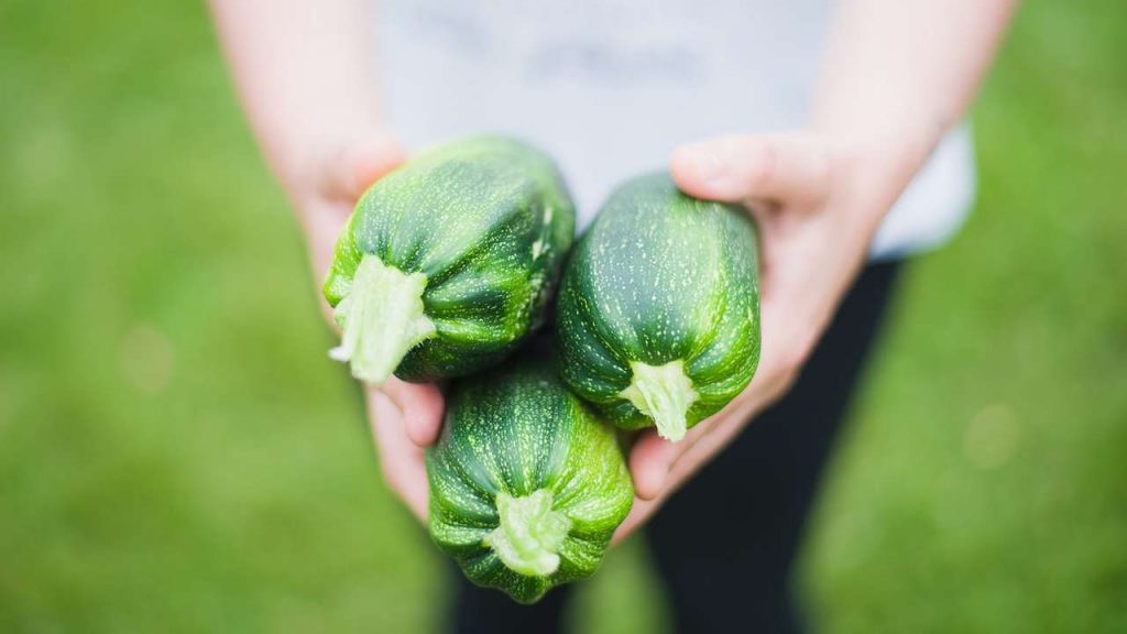 Zucchine deliziose leggere