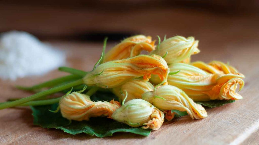 pastella fiori di zucca