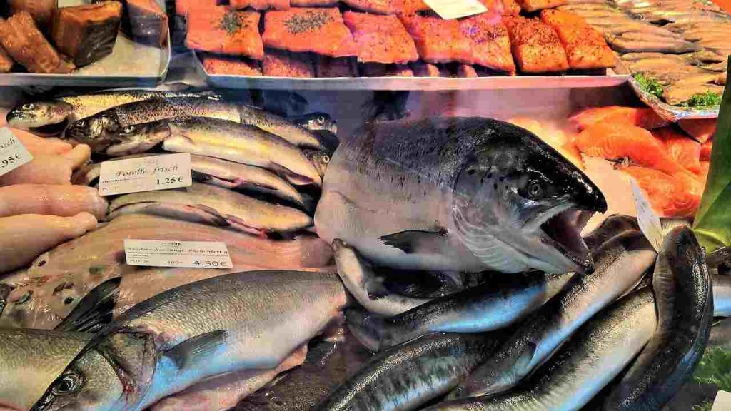 Pesce economico carne pregiata