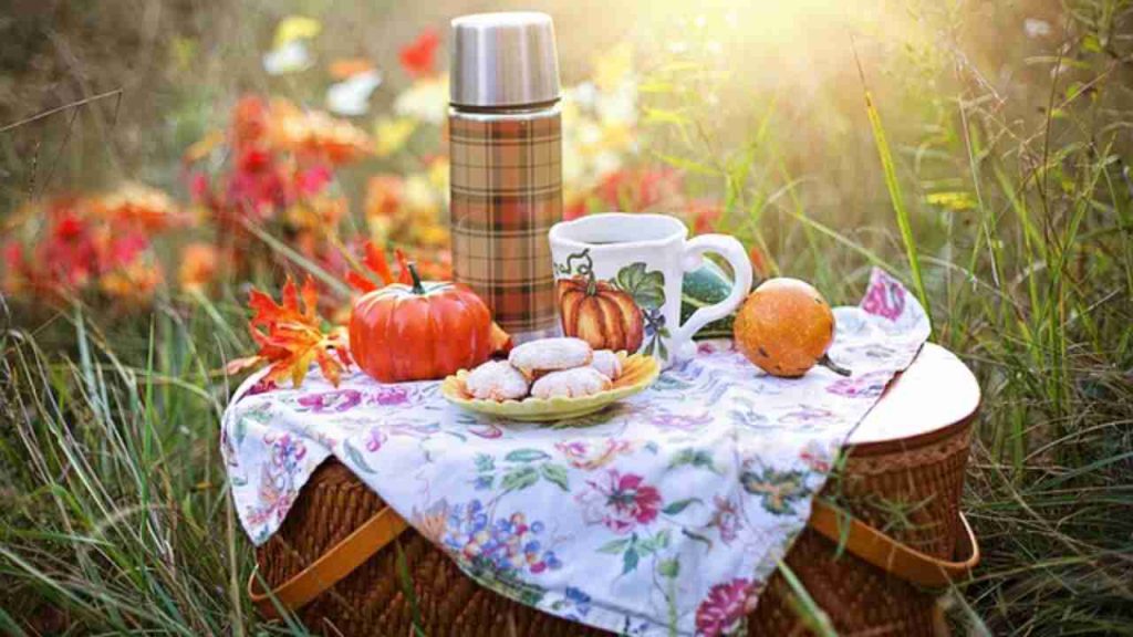 Cestino picnic