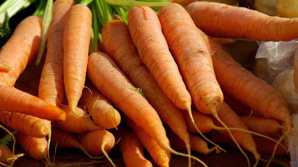 Tutti sbagliano con le carote