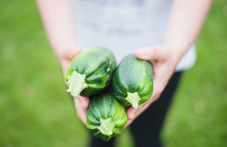 Zucchine fatte così perfette