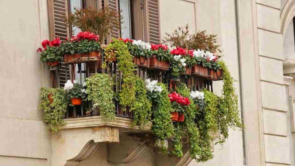 balcone settembre