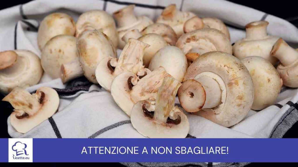 Anche tu commetti errore funghi